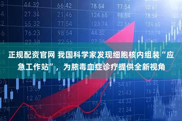正规配资官网 我国科学家发现细胞核内组装“应急工作站”，为脓毒血症诊疗提供全新视角