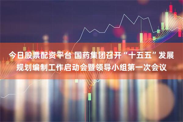 今日股票配资平台 国药集团召开“十五五”发展规划编制工作启动会暨领导小组第一次会议